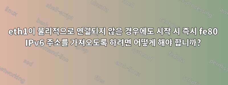 eth1이 물리적으로 연결되지 않은 경우에도 시작 시 즉시 fe80 IPv6 주소를 가져오도록 하려면 어떻게 해야 합니까?