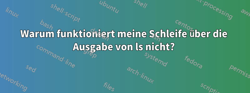 Warum funktioniert meine Schleife über die Ausgabe von ls nicht?