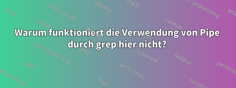 Warum funktioniert die Verwendung von Pipe durch grep hier nicht?