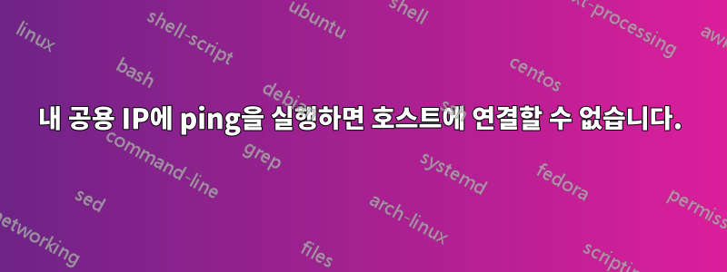 내 공용 IP에 ping을 실행하면 호스트에 연결할 수 없습니다.