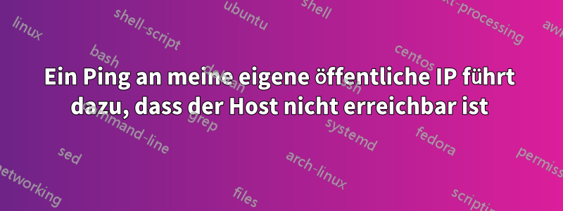 Ein Ping an meine eigene öffentliche IP führt dazu, dass der Host nicht erreichbar ist