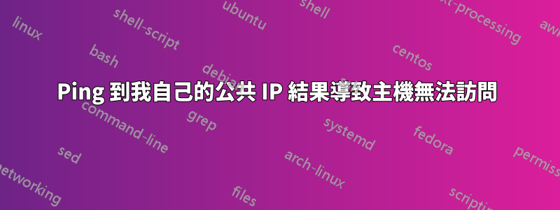 Ping 到我自己的公共 IP 結果導致主機無法訪問