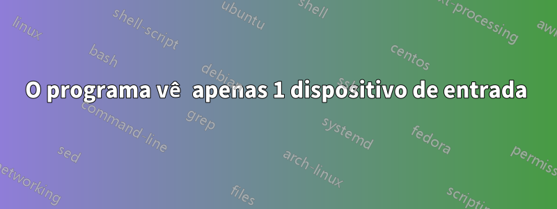 O programa vê apenas 1 dispositivo de entrada