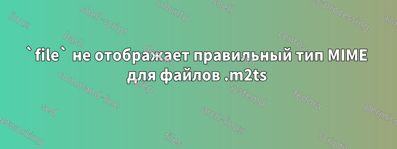 `file` не отображает правильный тип MIME для файлов .m2ts