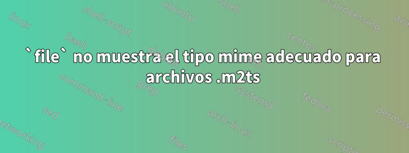 `file` no muestra el tipo mime adecuado para archivos .m2ts