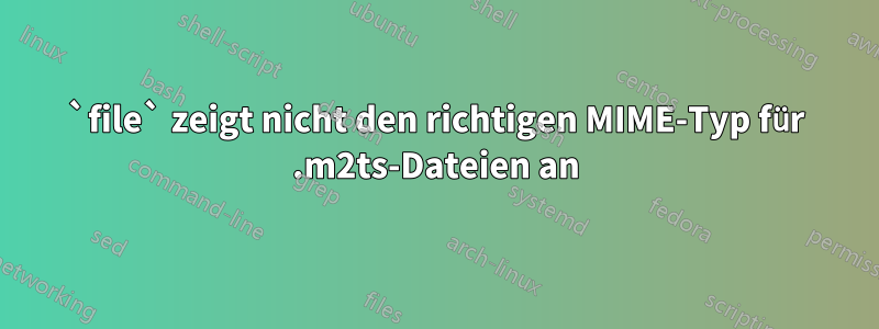 `file` zeigt nicht den richtigen MIME-Typ für .m2ts-Dateien an