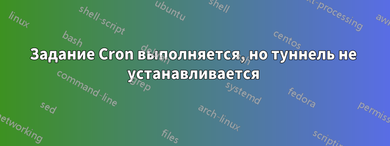 Задание Cron выполняется, но туннель не устанавливается