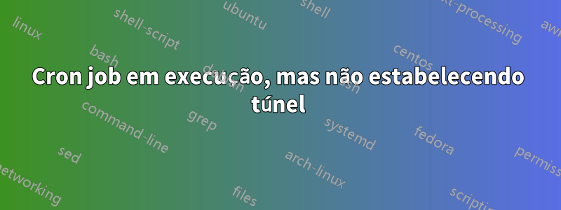 Cron job em execução, mas não estabelecendo túnel