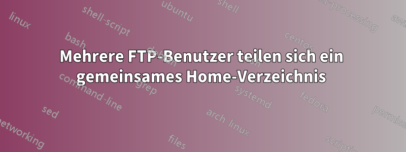 Mehrere FTP-Benutzer teilen sich ein gemeinsames Home-Verzeichnis