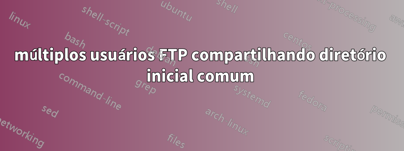 múltiplos usuários FTP compartilhando diretório inicial comum