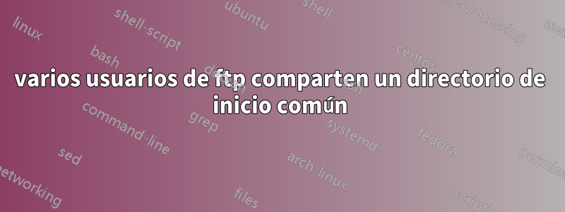 varios usuarios de ftp comparten un directorio de inicio común