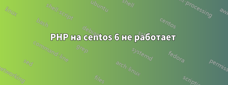 PHP на centos 6 не работает