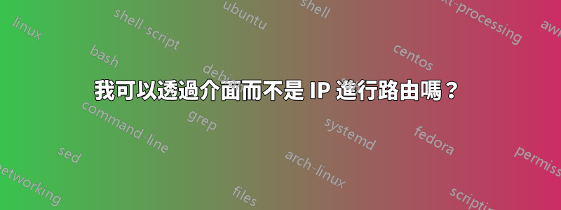 我可以透過介面而不是 IP 進行路由嗎？