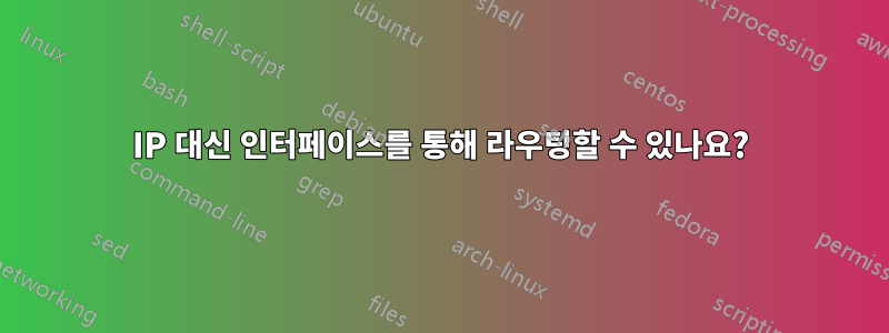 IP 대신 인터페이스를 통해 라우팅할 수 있나요?