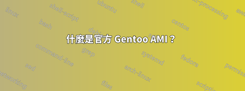 什麼是官方 Gentoo AMI？