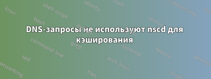 DNS-запросы не используют nscd для кэширования