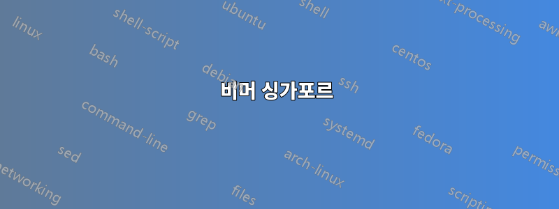 비머 싱가포르