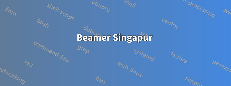 Beamer Singapur