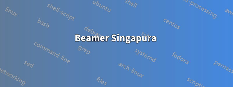 Beamer Singapura