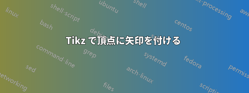 Tikz で頂点に矢印を付ける