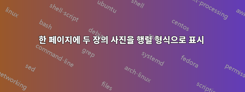 한 페이지에 두 장의 사진을 행렬 형식으로 표시