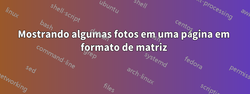 Mostrando algumas fotos em uma página em formato de matriz