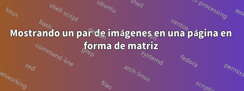 Mostrando un par de imágenes en una página en forma de matriz