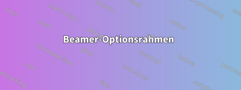 Beamer-Optionsrahmen 