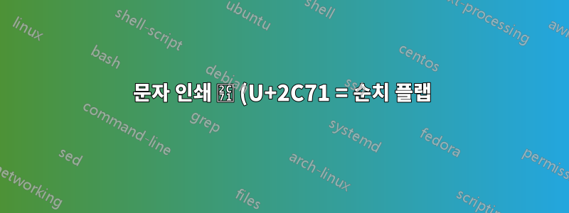 문자 인쇄 ⱱ (U+2C71 = 순치 플랩)