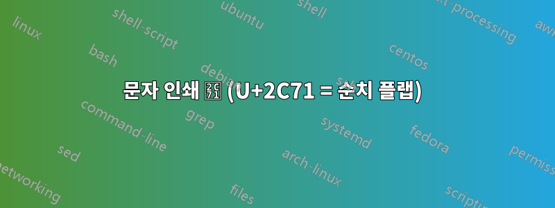 문자 인쇄 ⱱ (U+2C71 = 순치 플랩) 