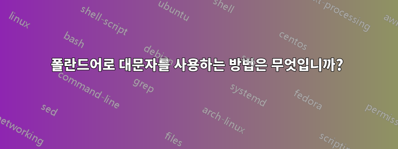 폴란드어로 대문자를 사용하는 방법은 무엇입니까?