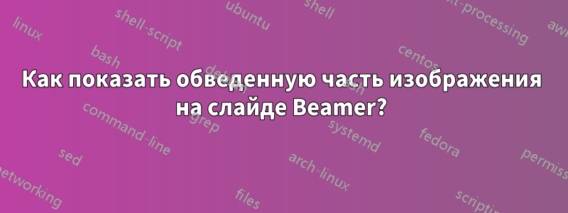 Как показать обведенную часть изображения на слайде Beamer?