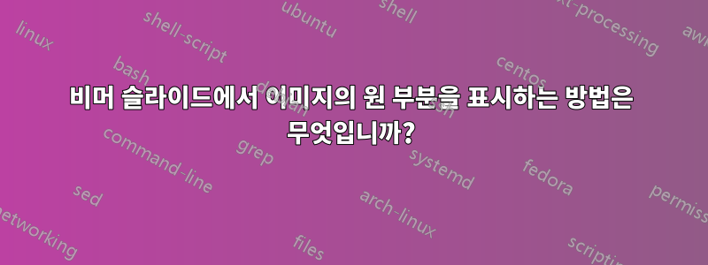 비머 슬라이드에서 이미지의 원 부분을 표시하는 방법은 무엇입니까?