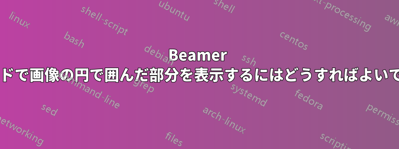 Beamer スライドで画像の円で囲んだ部分を表示するにはどうすればよいですか?