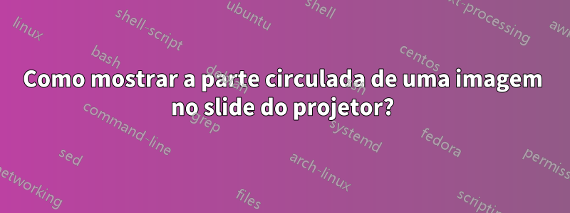 Como mostrar a parte circulada de uma imagem no slide do projetor?