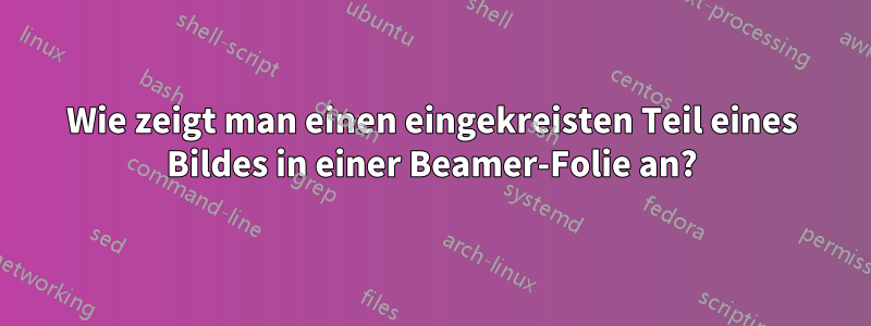 Wie zeigt man einen eingekreisten Teil eines Bildes in einer Beamer-Folie an?