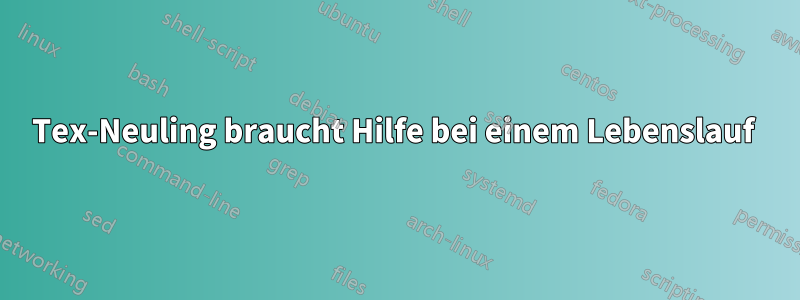 Tex-Neuling braucht Hilfe bei einem Lebenslauf 