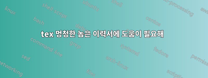 tex 멍청한 놈은 이력서에 도움이 필요해 