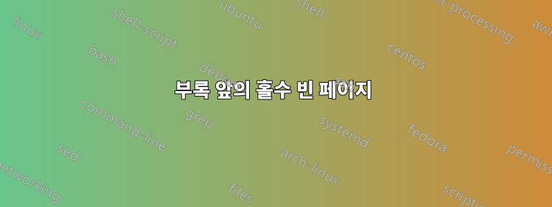 부록 앞의 홀수 빈 페이지