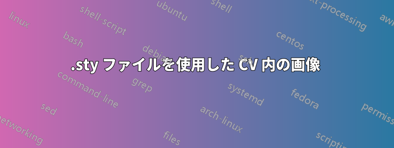 .sty ファイルを使用した CV 内の画像