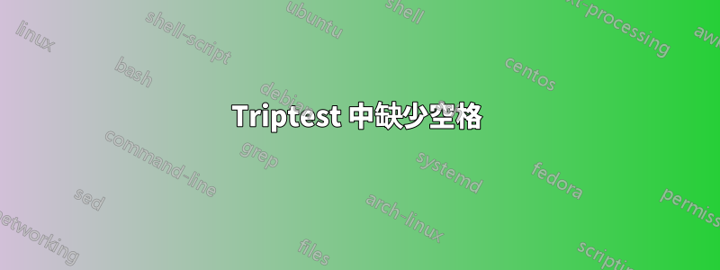 Triptest 中缺少空格