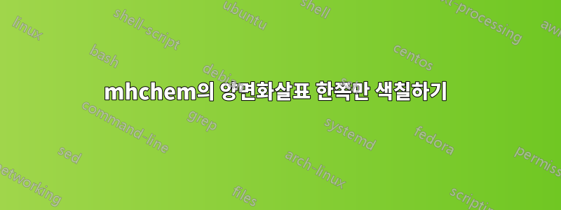 mhchem의 양면화살표 한쪽만 색칠하기 