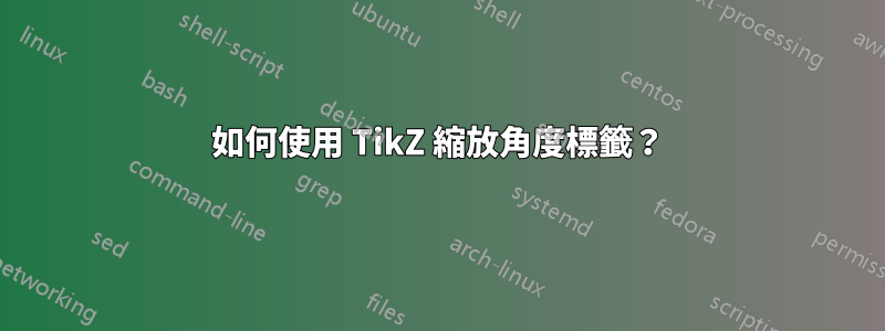 如何使用 TikZ 縮放角度標籤？