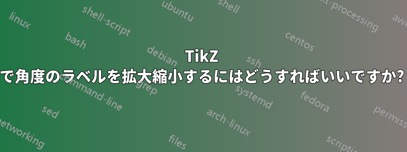 TikZ で角度のラベルを拡大縮小するにはどうすればいいですか?