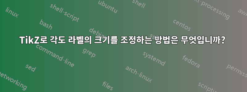 TikZ로 각도 라벨의 크기를 조정하는 방법은 무엇입니까?