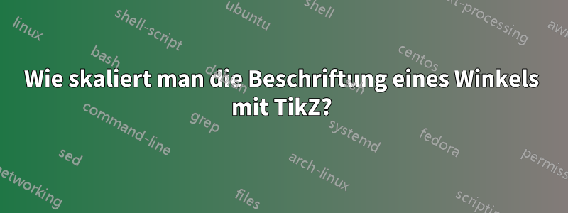 Wie skaliert man die Beschriftung eines Winkels mit TikZ?