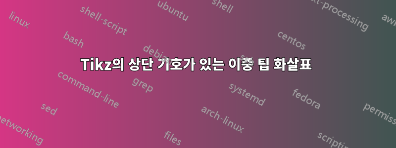 Tikz의 상단 기호가 있는 이중 팁 화살표