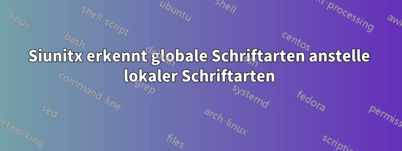 Siunitx erkennt globale Schriftarten anstelle lokaler Schriftarten