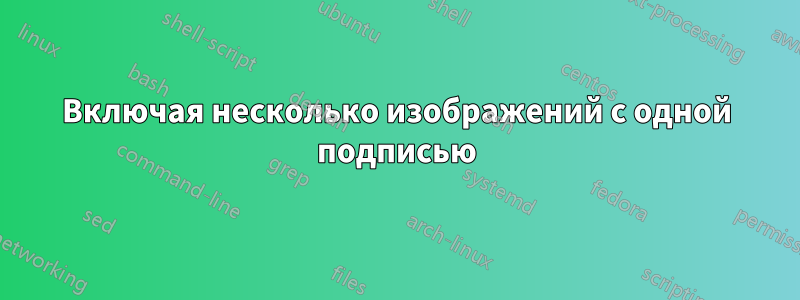 Включая несколько изображений с одной подписью