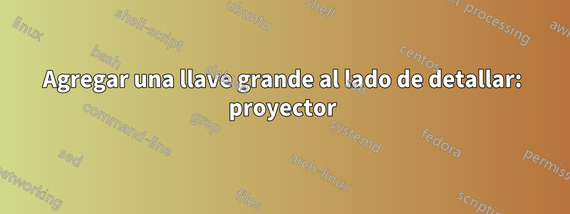 Agregar una llave grande al lado de detallar: proyector